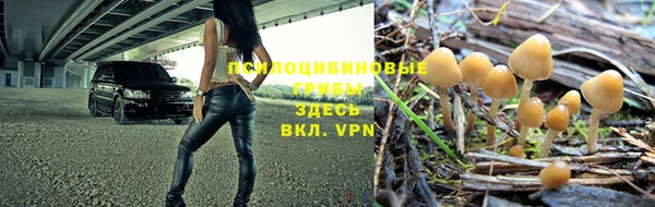 дурь Аркадак