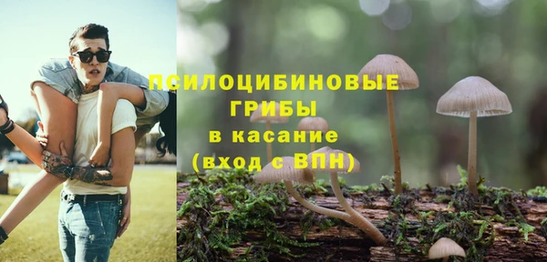 дурь Аркадак