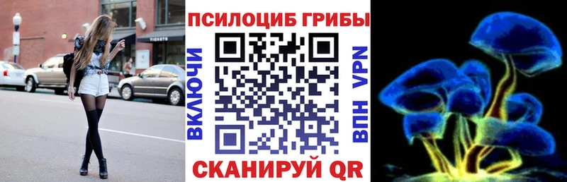 Галлюциногенные грибы мицелий  наркотики  Светлоград 